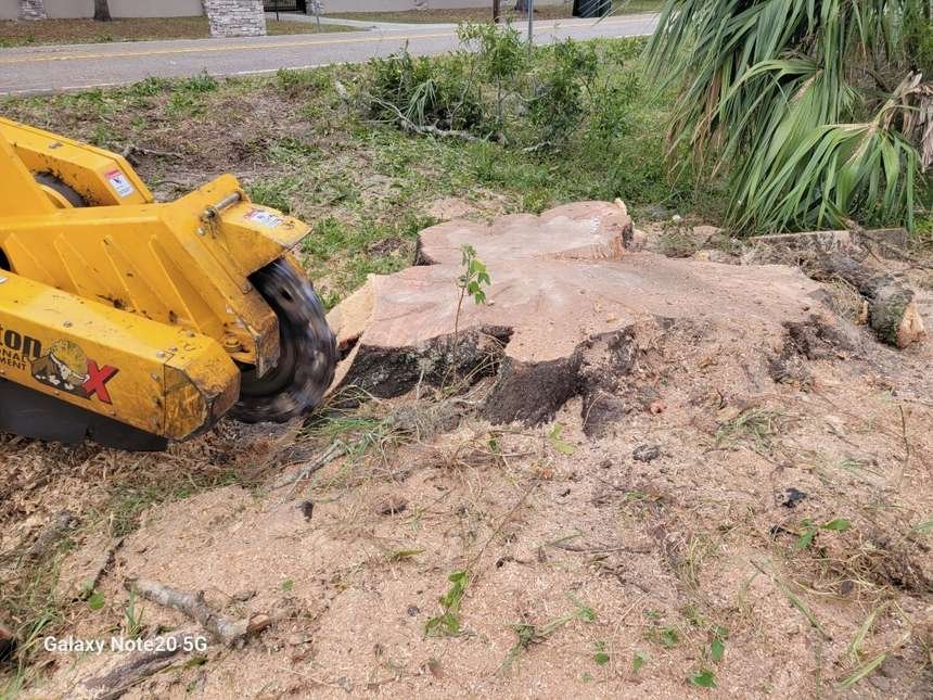 Stump grinder removing a stump
