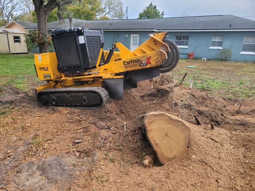 Carlton stump grinder on site