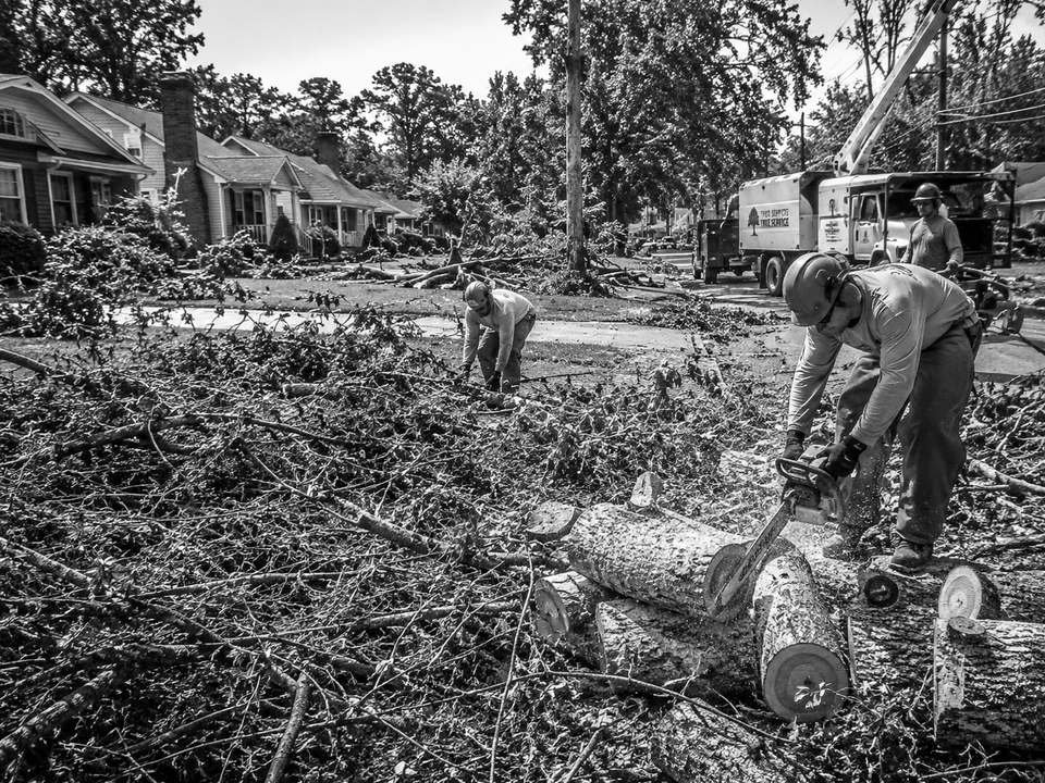 Crew clearing fallen trees and storm debris from a street