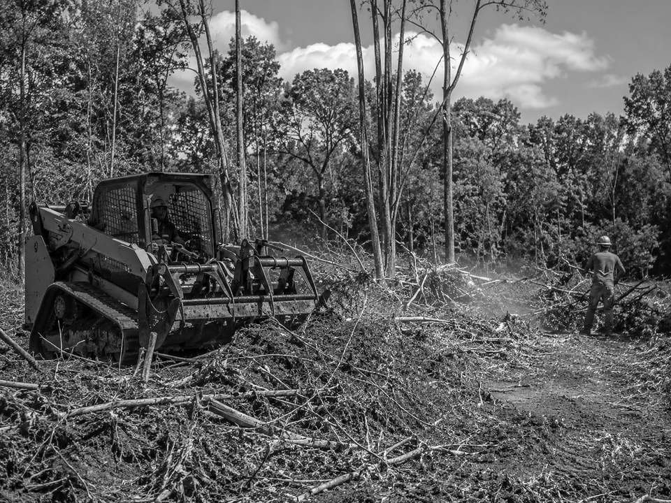 Skid-steer mulcher clearing brush and small trees from a lot